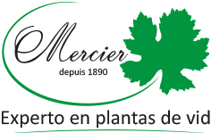 Logo Mercier