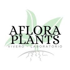 Logo Aflora Plants