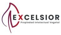 Logo Excelsior